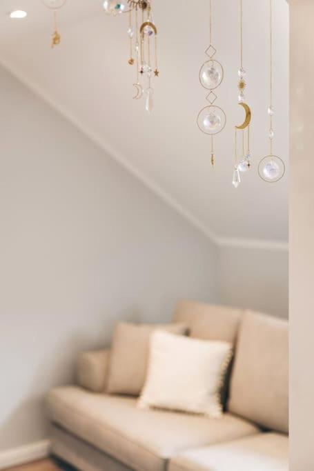 Tip! Toplage In Dresden! Moderne 100 Qm Ferienwohnung Fuer Familien Und Kleine Gruppen Dış mekan fotoğraf